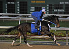 Rachel Alexandra Won't Run in Apple Blossom