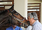 Rachel Alexandra Out of Apple Blossom Rachel Alexandra Out of Apple Blossom
