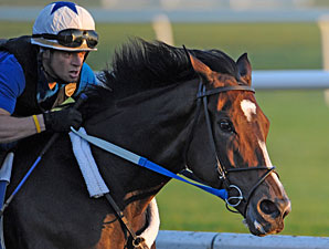 Works for Zenyatta and Rachel Alexandra Works for Zenyatta and Rachel Alexandra