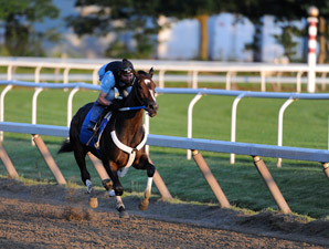 Rachel Alexandra in Bullet Work at Saratoga Rachel Alexandra in Bullet Work at Saratoga