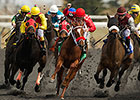 U.S. Wagering Up Less Than 1% for May U.S. Wagering Up Less Than 1% for May