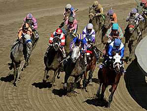Wagering Up More Than 4% in November Wagering Up More Than 4% in November