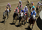 Wagering Up More Than 4% in November Wagering Up More Than 4% in November