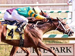 Final Works for Four Blue Grass Contenders Final Works for Four Blue Grass Contenders