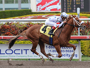 Radiohead Beats Homeboykris at Gulfstream Radiohead Beats Homeboykris at Gulfstream