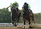33-1 Upsetter and Photo Finish in Salvator 33-1 Upsetter and Photo Finish in Salvator