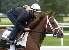 Steve Haskin's Belmont Report: Belmont Gets Richer With Addition of 'Rags'