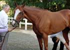 Race Injury Sidelines Rags to Riches Until 2008