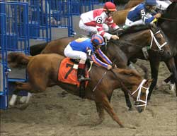 Belmont Overnight TV Ratings Slump Belmont Overnight TV Ratings Slump