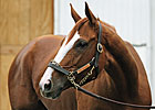 Rags to Riches Retired