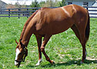 Hangin' at Home With Rags to Riches