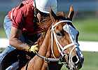 Rags' Breyer Proceeds to NTRA Charity 