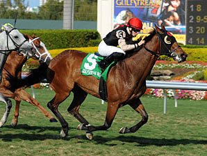 Grade I Winner Rahy's Attorney Retired Grade I Winner Rahy's Attorney Retired