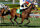 Grade I Winner Rahy's Attorney Retired Grade I Winner Rahy's Attorney Retired