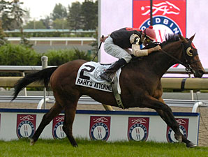 Rahy's Attorney Defends Woodbine Mile Crown Rahy's Attorney Defends Woodbine Mile Crown