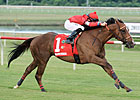 Rahystrada, Aruna Big Winners at Colonial