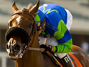 Rail Trip Tunes Up For JC Gold Cup Rail Trip Tunes Up For JC Gold Cup