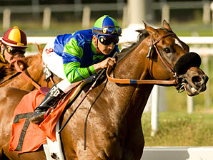 Rail Trip Seeks Gold Cup Repeat & Rare Sweep Rail Trip Seeks Gold Cup Repeat & Rare Sweep