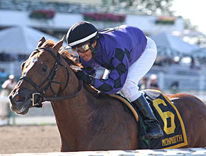 Rainbow Heir Skips to Jersey Shore Victory Rainbow Heir Skips to Jersey Shore Victory