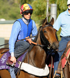 Rainbow View Injured, Out of Beverly D. Rainbow View Injured, Out of Beverly D.