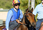Rainbow View Injured, Out of Beverly D. Rainbow View Injured, Out of Beverly D.