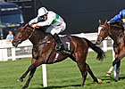 Rainbow View Has the Look of a Champion
