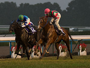 Rainbow Dahlia Defeats Verxina in QE II Cup Rainbow Dahlia Defeats Verxina in QE II Cup