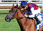 Rainha Da Bateria Dazzles in Jessamine Win Rainha Da Bateria Dazzles in Jessamine Win