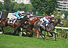 Planteur Easy Winner of Prix Ganay