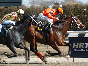 Dominguez, Contessa Rule Winter Meet Dominguez, Contessa Rule Winter Meet