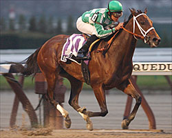 Randaroo Confident Winner of Top Flight Randaroo Confident Winner of Top Flight