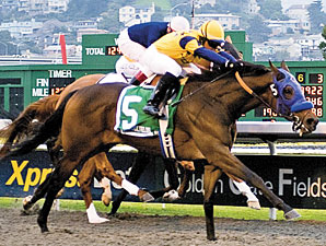 Cal Derby Top 3 Meet in El Camino Real Derby Cal Derby Top 3 Meet in El Camino Real Derby