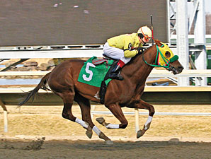 'Redux' in Bid to Tie Consecutive Win Record 'Redux' in Bid to Tie Consecutive Win Record