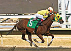 Rapid Redux to Charles Town to Try for No. 17 Rapid Redux to Charles Town to Try for No. 17