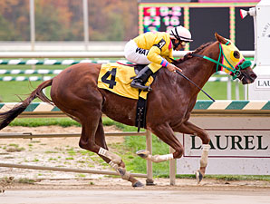 Rapid Redux Goes For Another Record Dec. 13 Rapid Redux Goes For Another Record Dec. 13