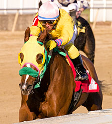 Rapid Redux Ties Single-Season Win Mark Rapid Redux Ties Single-Season Win Mark