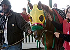 Rapid Redux Questionable For Jan. 4 Start