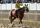 Rapid Redux Retired, Honored by MJC Rapid Redux Retired, Honored by MJC