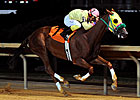 Rapid Redux, 17-for-17, in at Mountaineer Rapid Redux, 17-for-17, in at Mountaineer