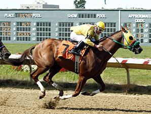 Rapid Redux Aims for 16 in a Row at Timonium Rapid Redux Aims for 16 in a Row at Timonium