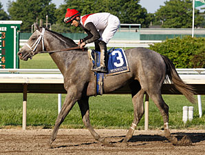 Graded Winners Populate Penn National Stakes Graded Winners Populate Penn National Stakes