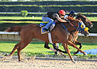 Ravelo's Boy Confirmed for Belmont Stakes Ravelo's Boy Confirmed for Belmont Stakes