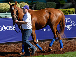 Darley Trio Gets Mares in Foal Darley Trio Gets Mares in Foal