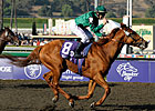 Breeders' Cup Winners on Cartier List