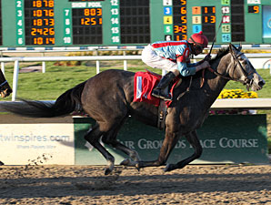 Ravi's Song Back On Dirt for Falls City 'Cap Ravi's Song Back On Dirt for Falls City 'Cap
