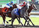 Ready to Act Overcomes Start to Win Beaumont Ready to Act Overcomes Start to Win Beaumont