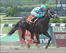9 Entries in Saratoga's Sanford Stakes 9 Entries in Saratoga's Sanford Stakes