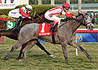 Ready to Act, Daring Kathy Vie at Woodbine Ready to Act, Daring Kathy Vie at Woodbine