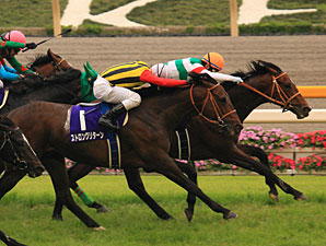 Real Impact Surprises in Japan's Yasuda Kinen Real Impact Surprises in Japan's Yasuda Kinen