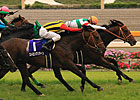 Real Impact Surprises in Japan's Yasuda Kinen Real Impact Surprises in Japan's Yasuda Kinen